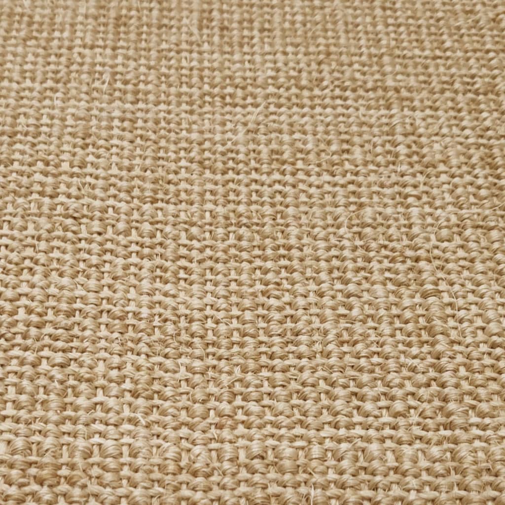 vidaXL Vloerkleed 80x100 cm natuurlijk sisal