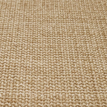 vidaXL Vloerkleed 80x100 cm natuurlijk sisal