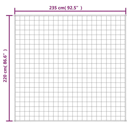 vidaXL Verzwaringsdeken 220x235 cm 15 kg stof grijs