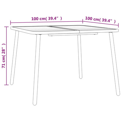 vidaXL Tuintafel 100x100x71 cm staal antracietkleurig