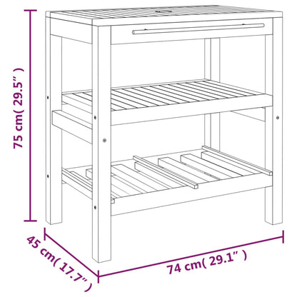 vidaXL Wastafelkast met 2 schappen 74x45x75 cm massief hout